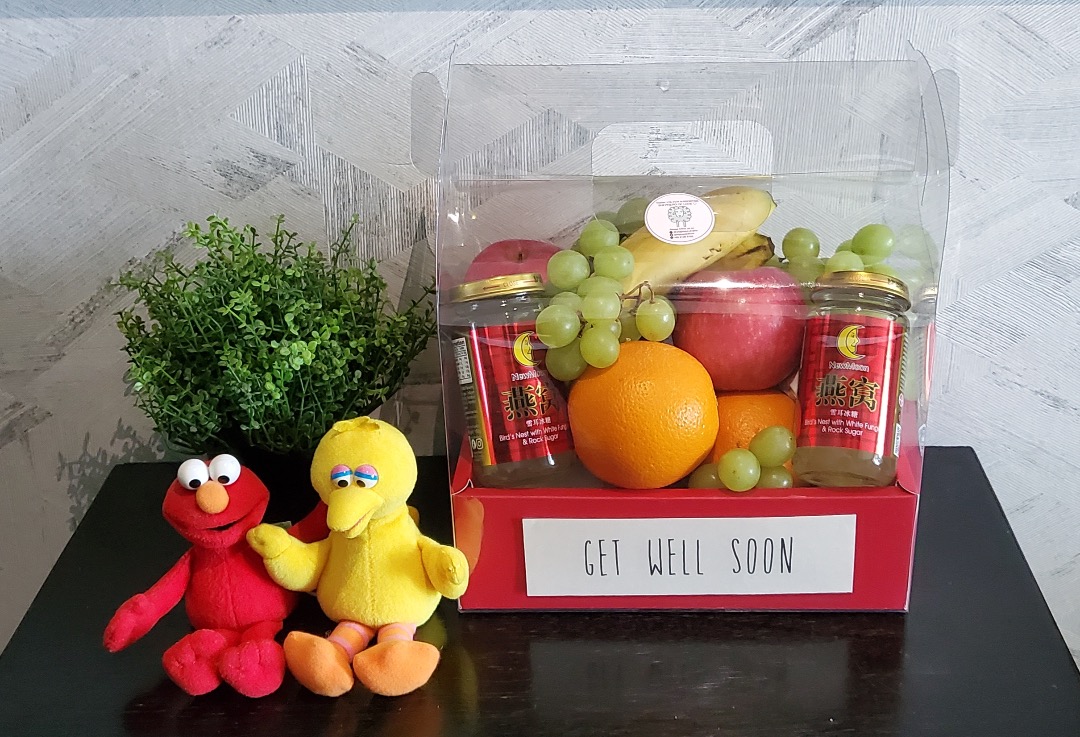 Premium Bird Nest / Chicken Essence + Fruits Hamper / Gift Set (Get Well Soon, Hospital,