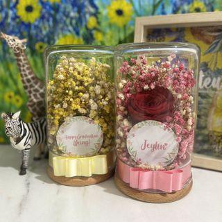 Preserved Pastel Pink Yellow Baby Breath Flower Jar with Rose