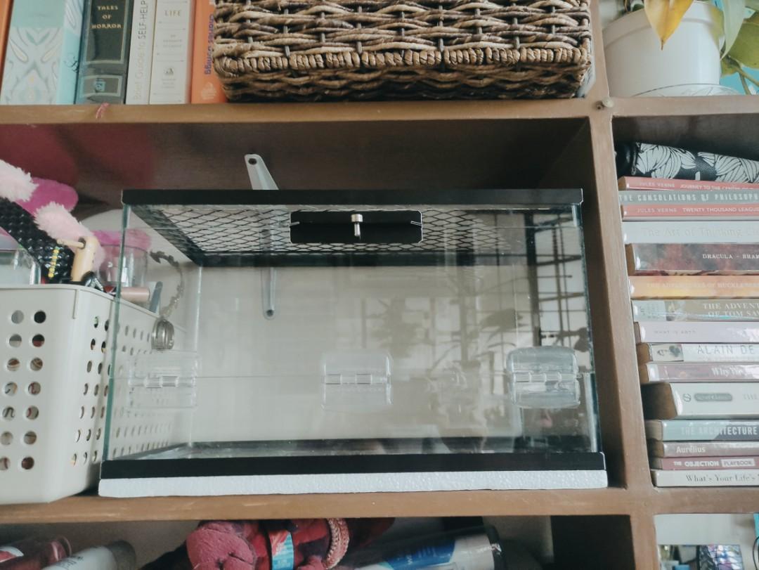 Reptile / rodent / hamster enclosure cage, Pet Supplies, Homes & Other ...