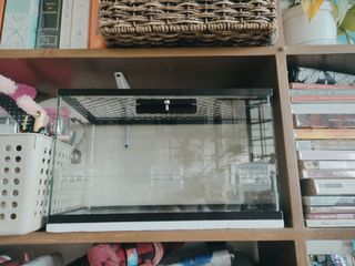 (Category: ) located in . Submitted by zhanil (Listing ID 1186544446, Image 1). Description: .