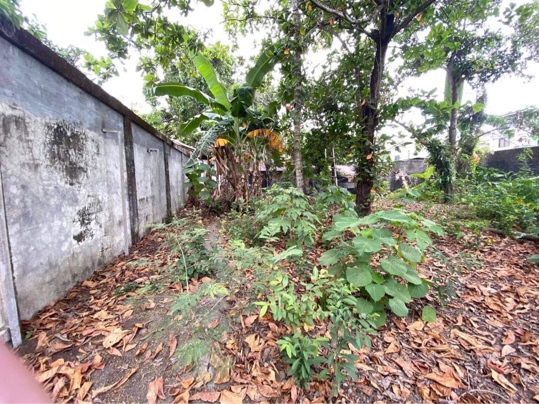 San Jose, Antique Lot for sale, Property, For Sale, Lot on Carousell
