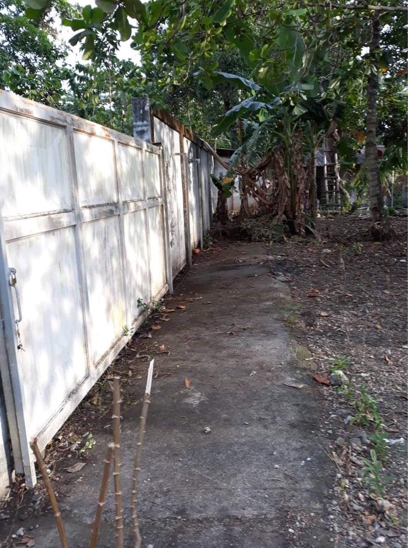 San Jose, Antique Lot for sale, Property, For Sale, Lot on Carousell