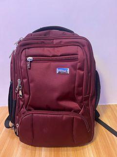 Sena Travel/Laptop Bag pack