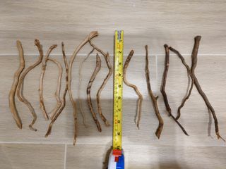 （分類：）位於 。 由 BadGuyMok 提交（商品編號 1186771959，圖片 1）。簡介： 。