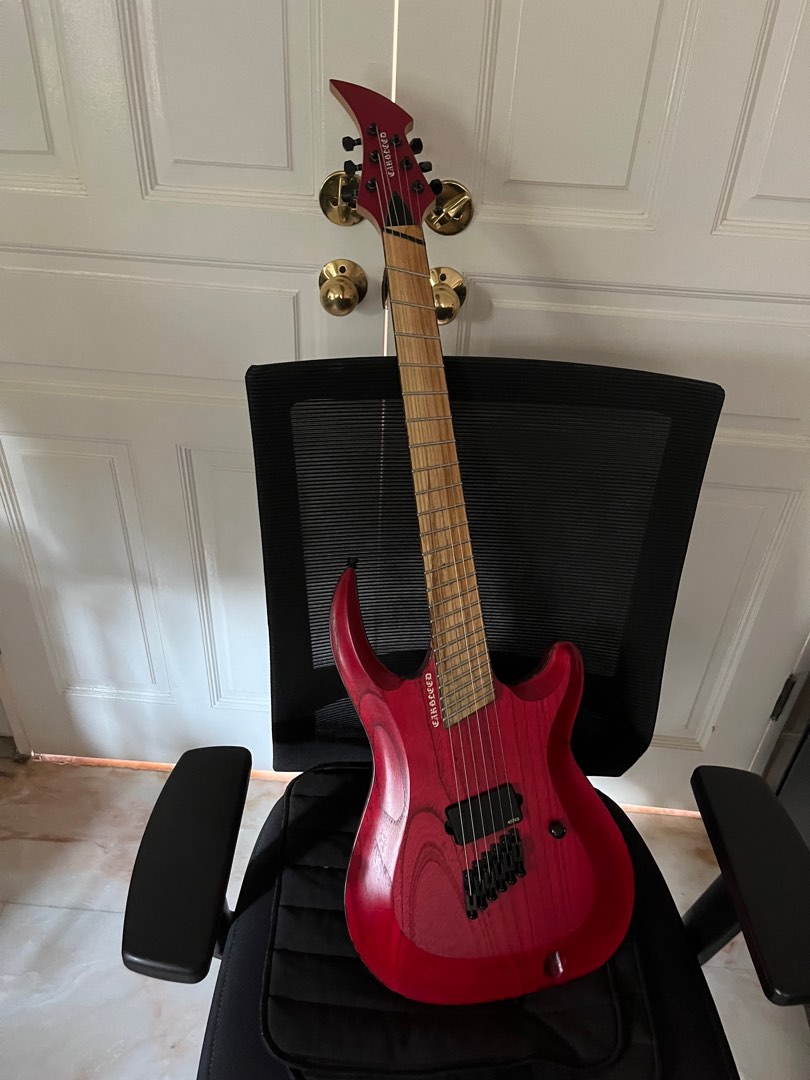 Earbleed multi scale fanned fret electric guitar super strat, Hobbies