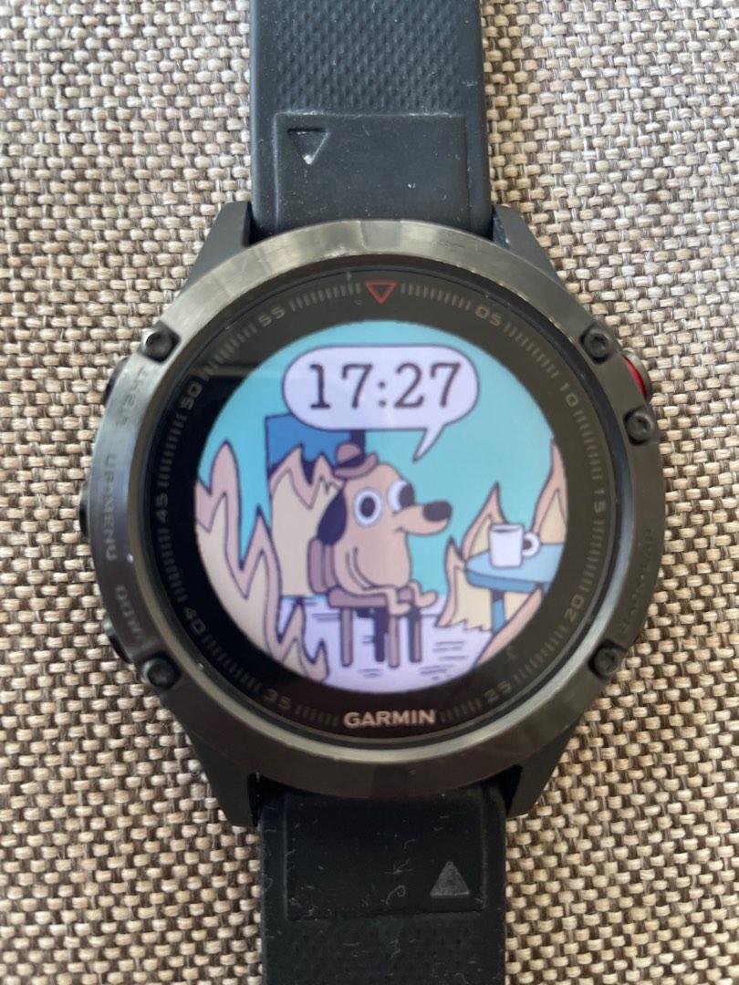 Garmin fenix 5 stainless steel online