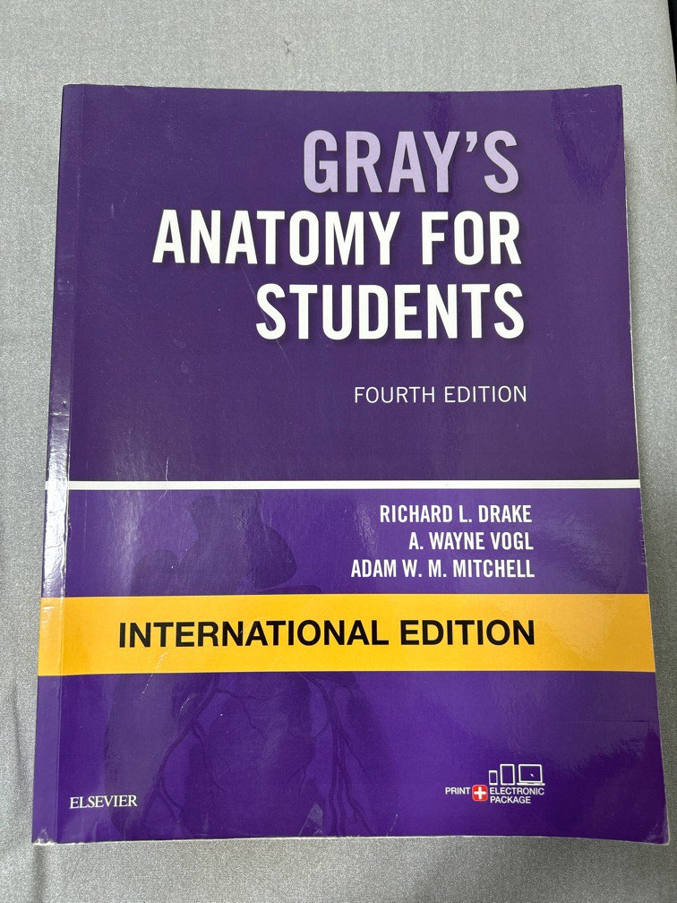Gray’s anatomy for students, Hobbies & Toys, Books & Magazines
