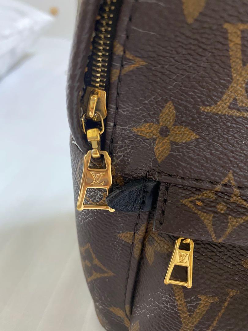 Louis Vuitton Palm Springs Mini Review + Wear & Tear