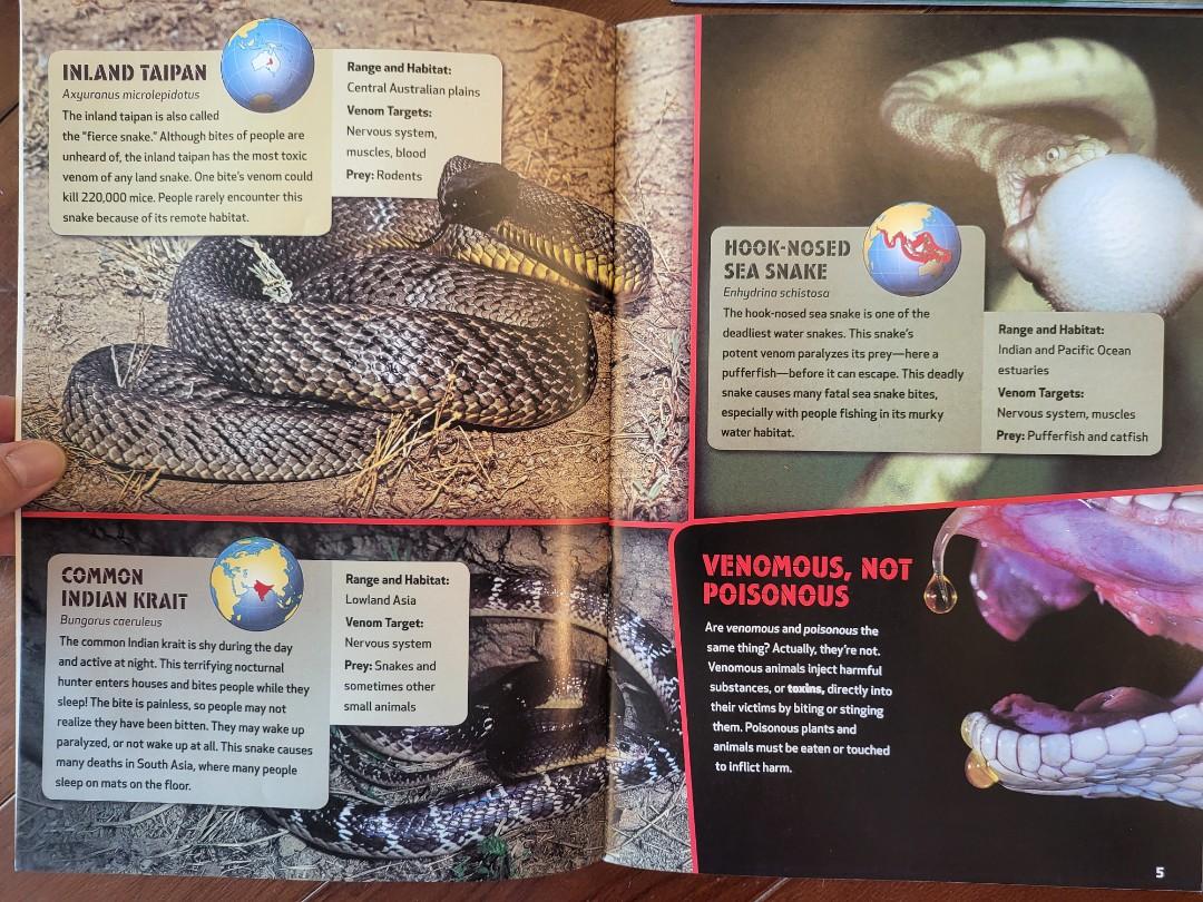 National Geographic Ladders STEM, Earth/Life/Physical Science (24 books), 興趣及遊戲, 書本 & 文具, 小朋友書