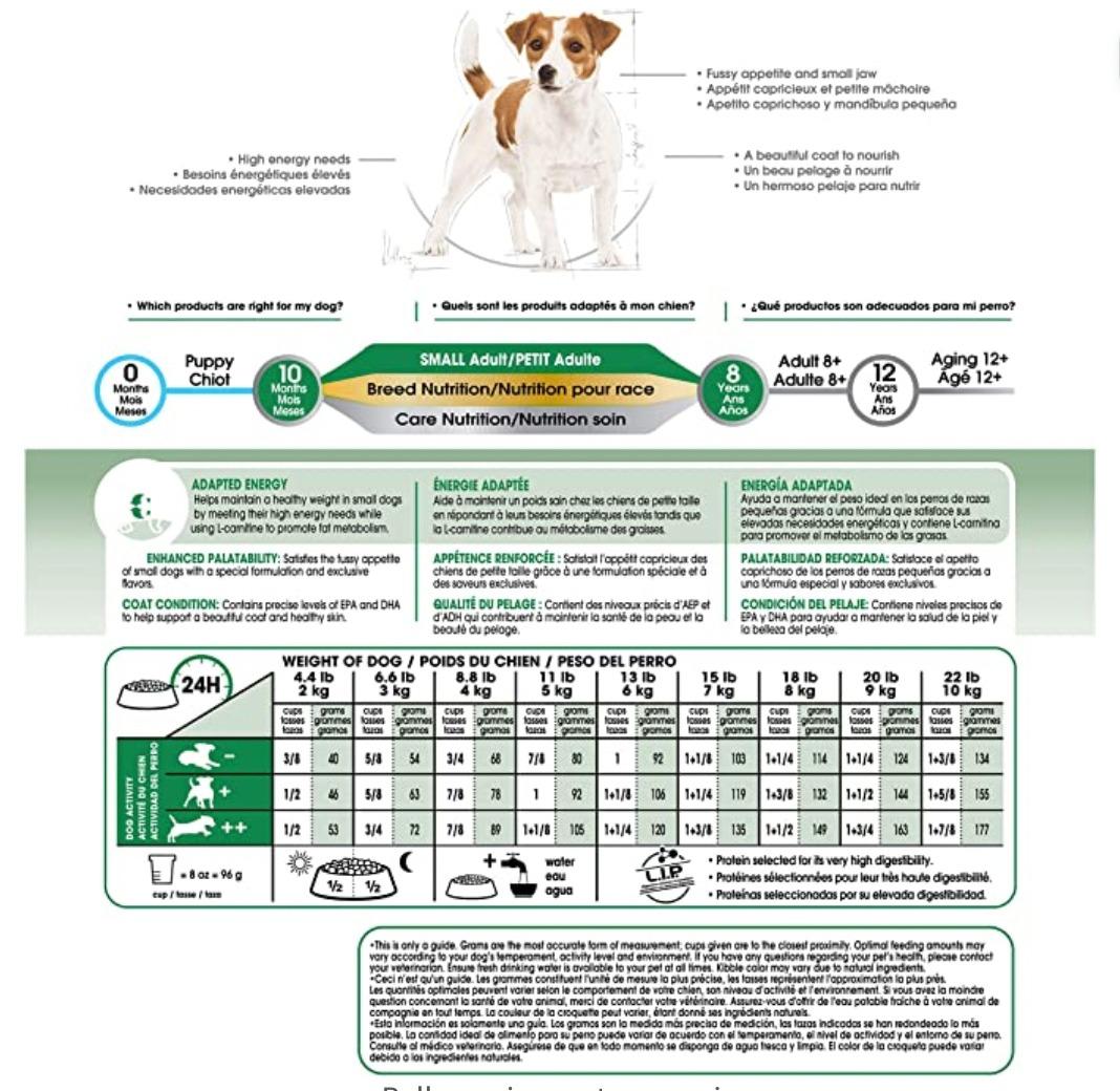 How Much Food Should A 10kg Dog Eat