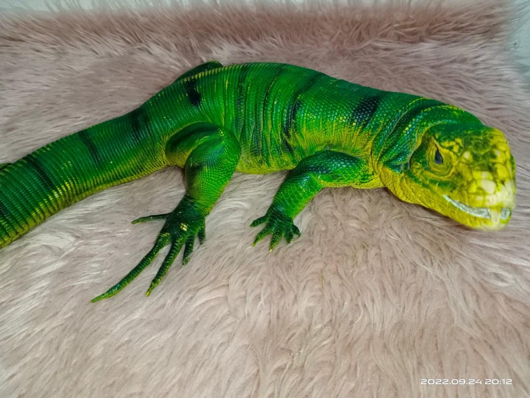 Tegu lizard green realistic pvc, Hobbies & Toys, Toys & Games on Carousell