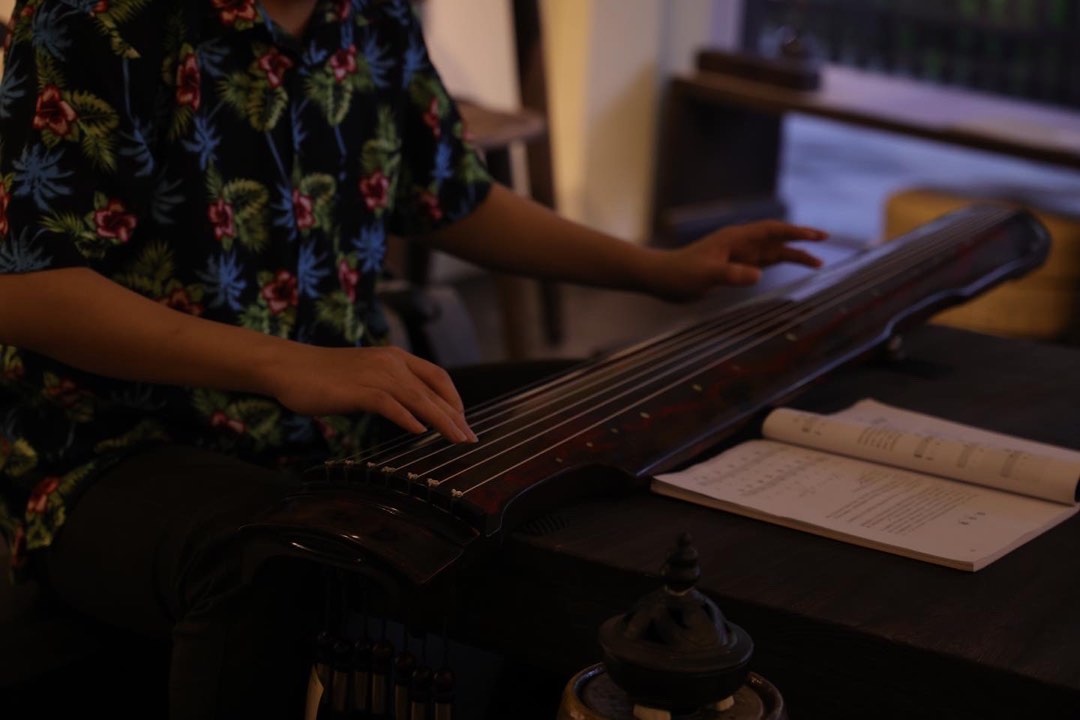 The Largest and Most Complete Guzheng Guqin Shop in Singapore, Hobbies