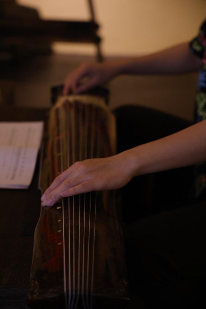 The Largest and Most Complete Guzheng Guqin Shop in Singapore, Hobbies