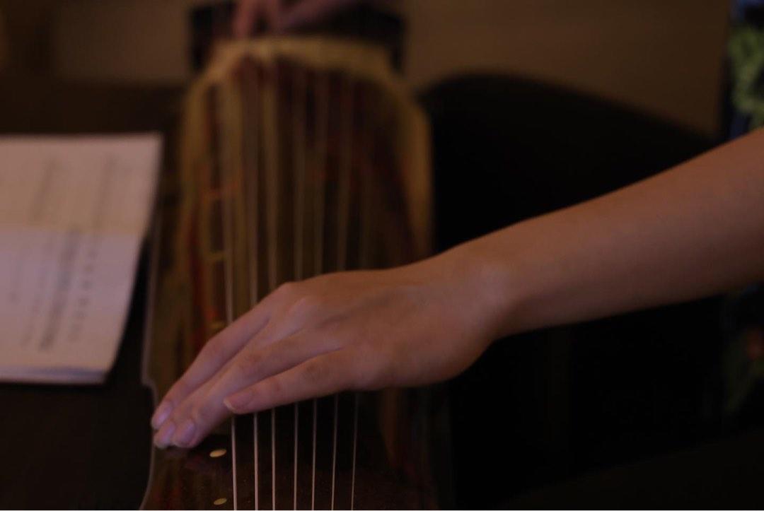 The Largest and Most Complete Guzheng Guqin Shop in Singapore, Hobbies