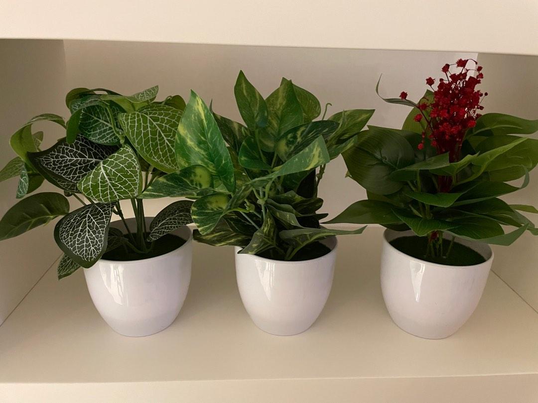 3 cute fake plants, Furniture & Home Living, Home Decor, Artificial