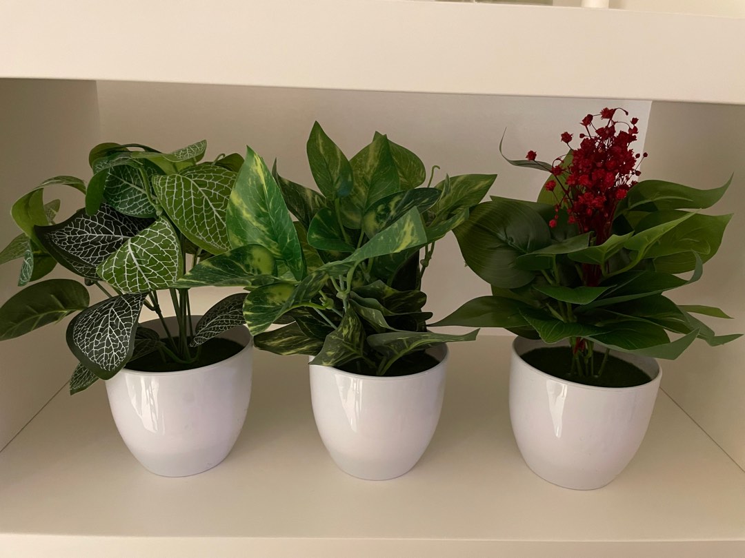 3 cute fake plants, Furniture & Home Living, Home Decor, Artificial