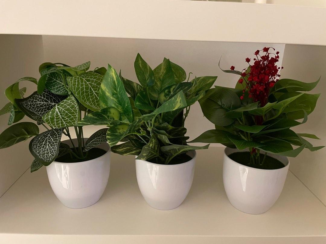 3 cute fake plants, Furniture & Home Living, Home Decor, Artificial Plants & Flowers on Carousell