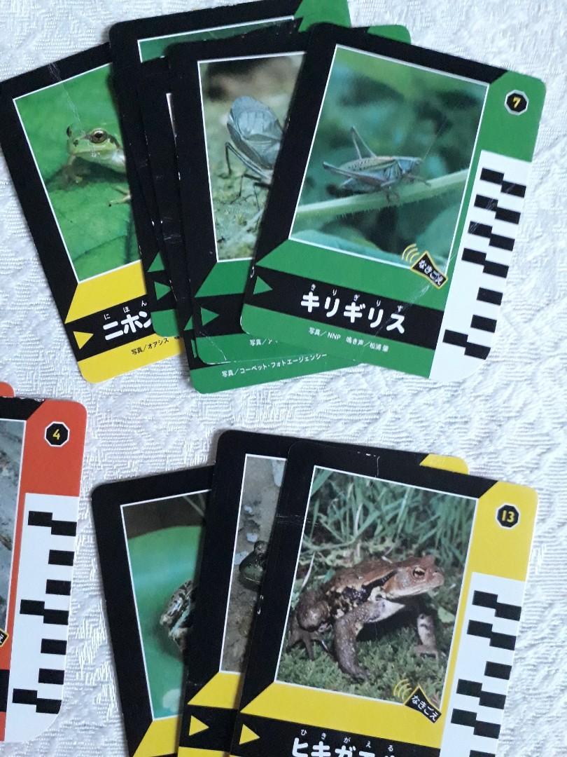 Benesse Japanese Educational Handheld Game, Hobbies & Toys, Toys