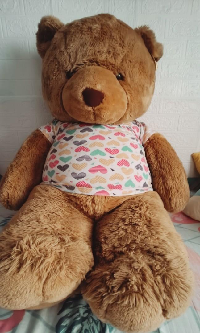 Big Teddy Bear (Bear Cuddler), Hobbies & Toys, Toys & Games on Carousell