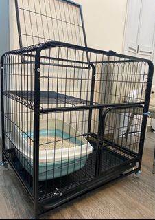 （分類：）位於 。 由 ccggshop 提交（商品編號 1187000985，圖片 1）。簡介： 。