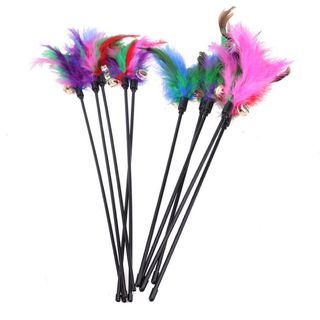 (Category: ) located in . Submitted by christina_petstore (Listing ID 1169980877, Image 1). Description: .