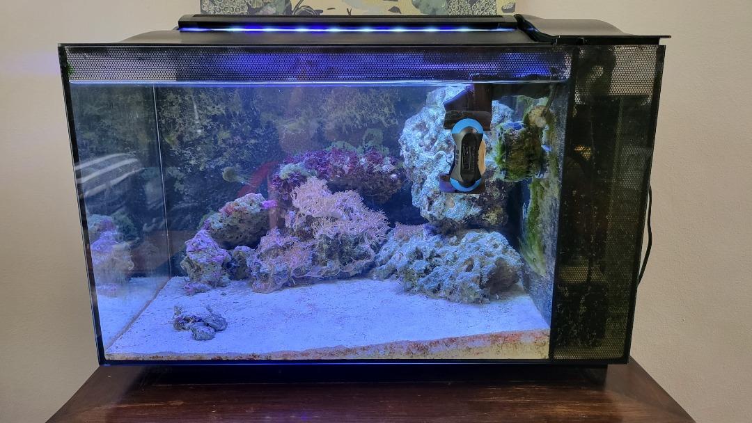 Fluval evo online aquarium kit