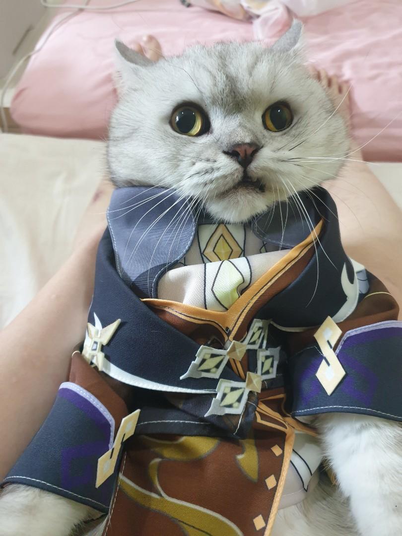 Cat cosplay deals