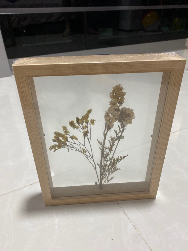 Hooga Dried flower display frame, Furniture & Home Living, Home Decor