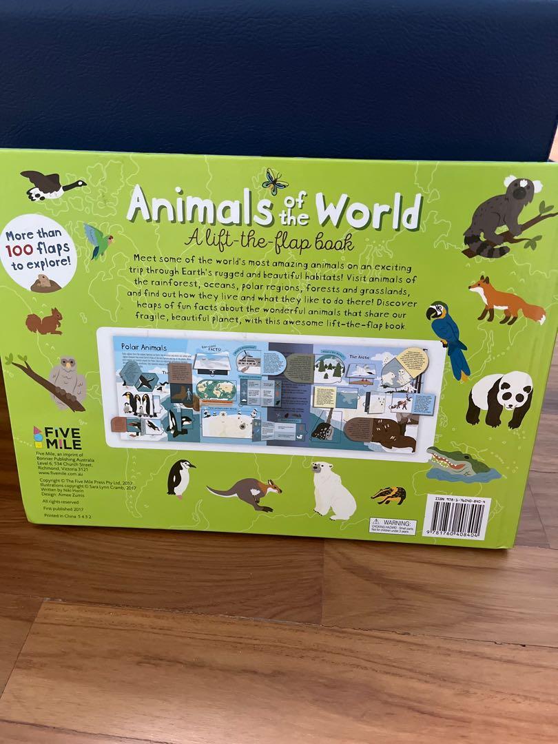 Lift the flap book, Hobbies & Toys, Books & Magazines, Children's Books ...