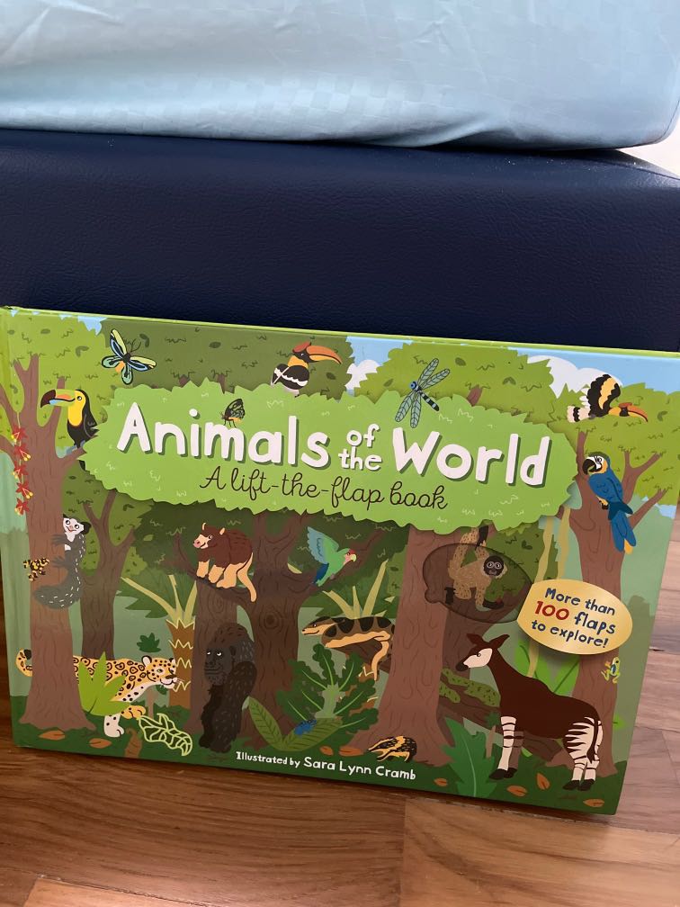 Lift the flap book, Hobbies & Toys, Books & Magazines, Children's Books ...