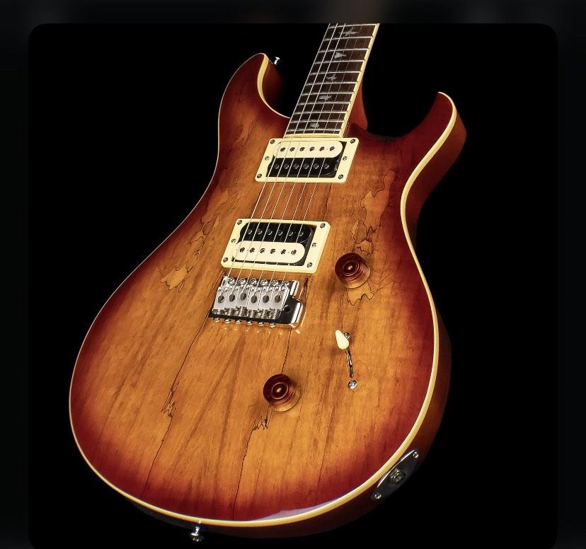 PRS SE custom 24 Exotic Spalted Maple, Vintage Sunburst, 興趣及