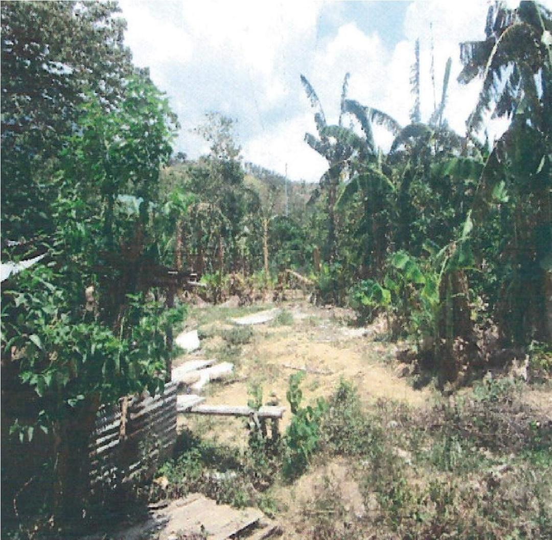 San Isidro Puerto Galera 483 sqm Commercial lot in Oriental Mindoro