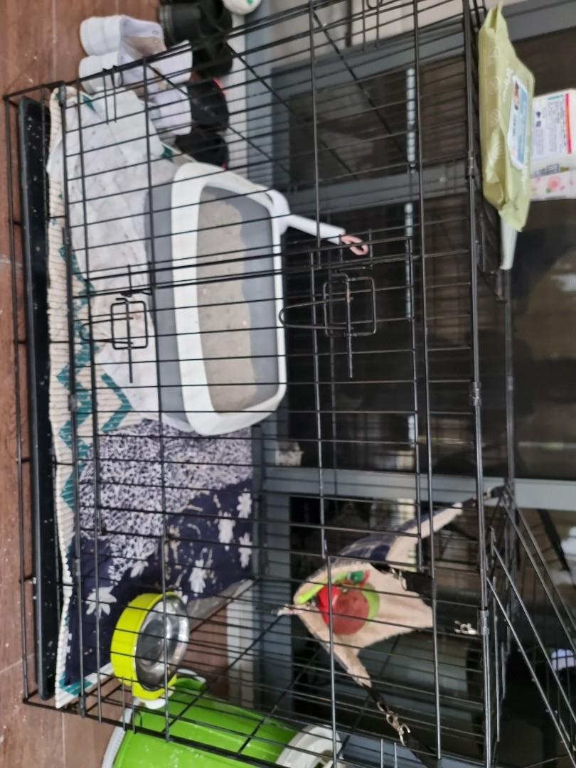 Selling cat cage & litter box, Pet Supplies, Homes & Other Pet
