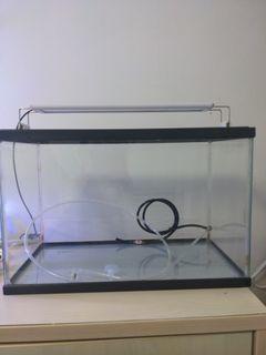Fish Tank and RGB Light