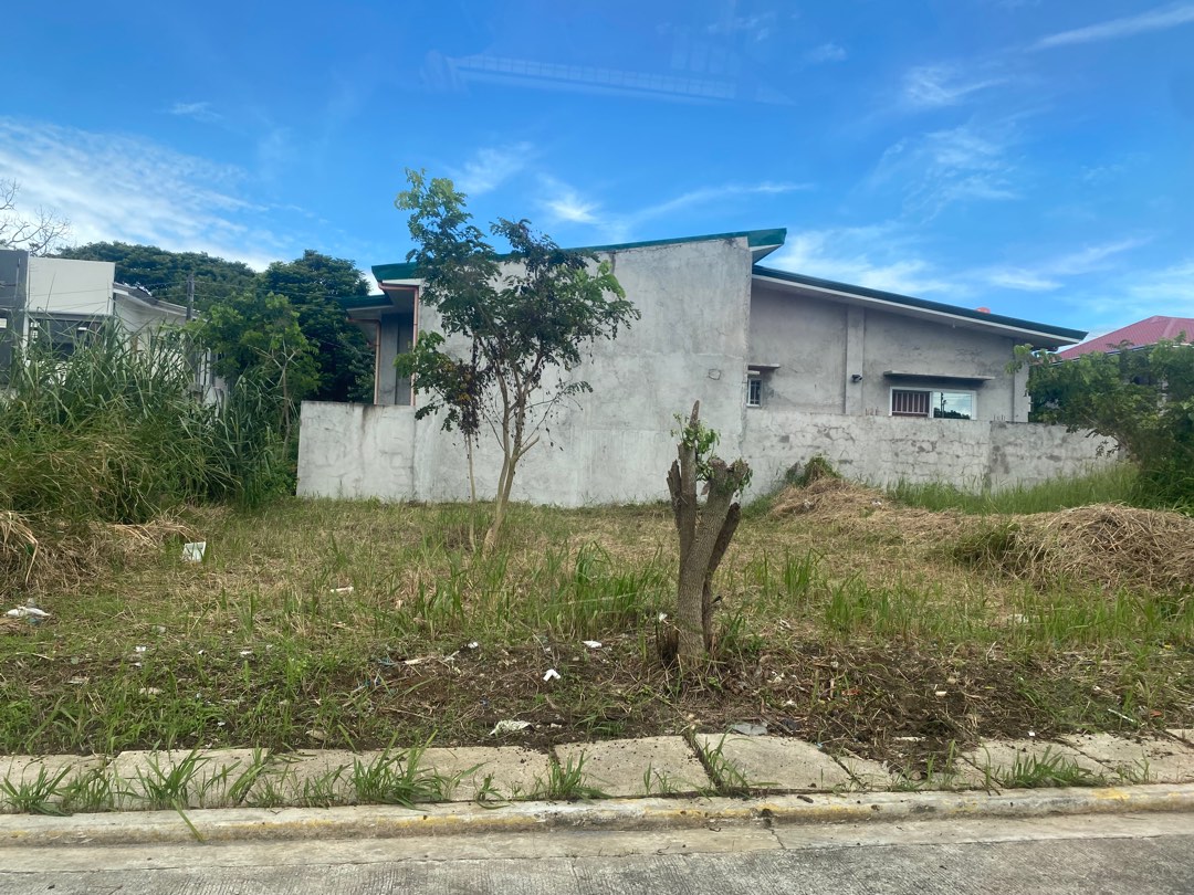 100sqm Lot in Tambo Lipa, Property, For Sale, Lot on Carousell