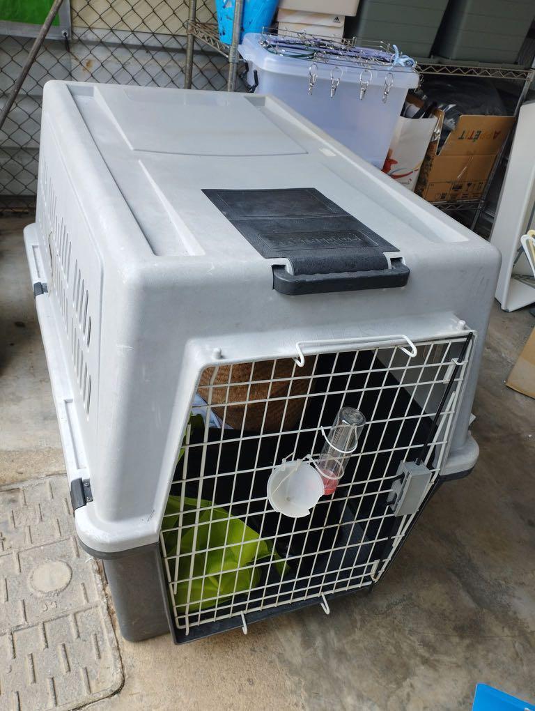 Dog Crate Cozy, Pet Supplies, Homes & Other Pet Accessories on Carousell