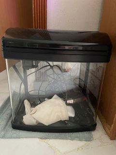 (Category: ) located in . Submitted by adax43 (Listing ID 1187118019, Image 1). Description: .