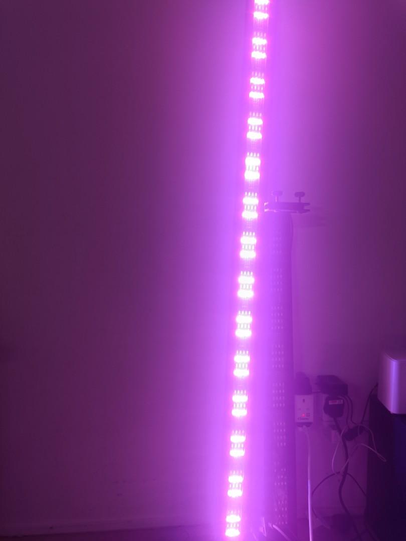 Fish tank light, Pet Supplies, Homes & Other Pet Accessories on Carousell