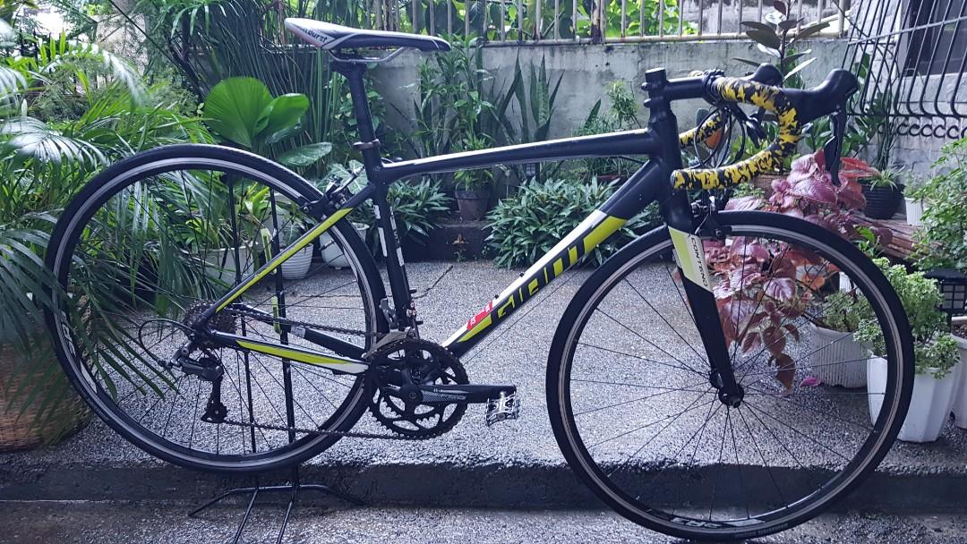 Giant Contend 2 2018 Small