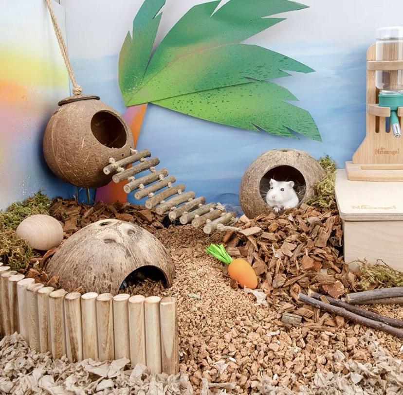 NITEANGEL Hamster Coconut Hideouts, Pet Supplies, Homes & Other Pet ...