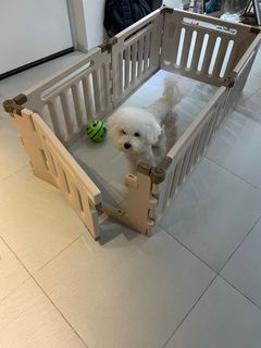 （分類：）位於 。 由 teresathings 提交（商品編號 1187250558，圖片 1）。簡介： 。