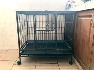 (Category: ) located in . Submitted by ivanhoe88 (Listing ID 1187062749, Image 1). Description: .