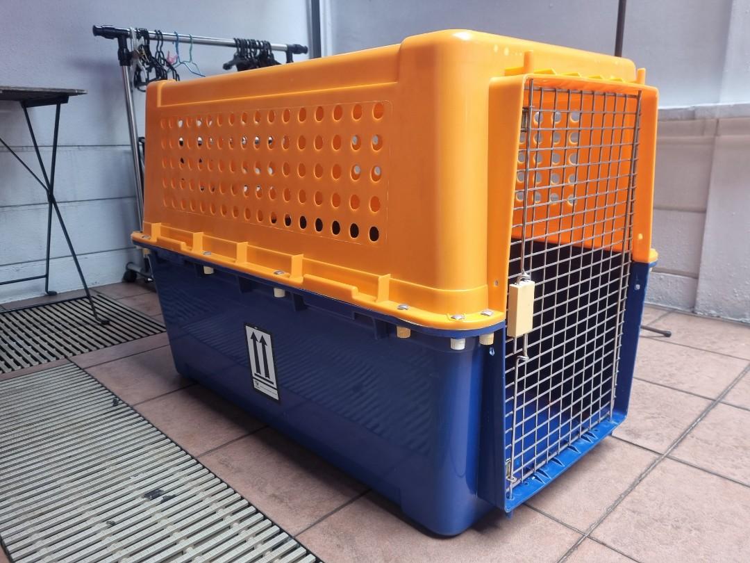 PP60 Airline Approver Dog Kennel Crate, Pet Supplies, Homes & Other Pet