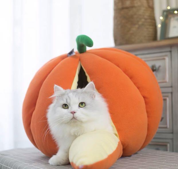 Pumpkin/ Mandarin Cat house, Pet Supplies, Homes Other Pet