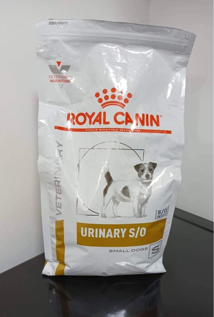 Urinary so small dog online