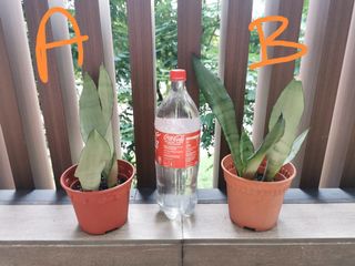 (Category: ) located in . Submitted by lixuan.foo (Listing ID 1187195542, Image 1). Description: .