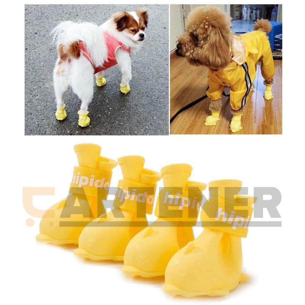 Rain boots for outlet small dogs