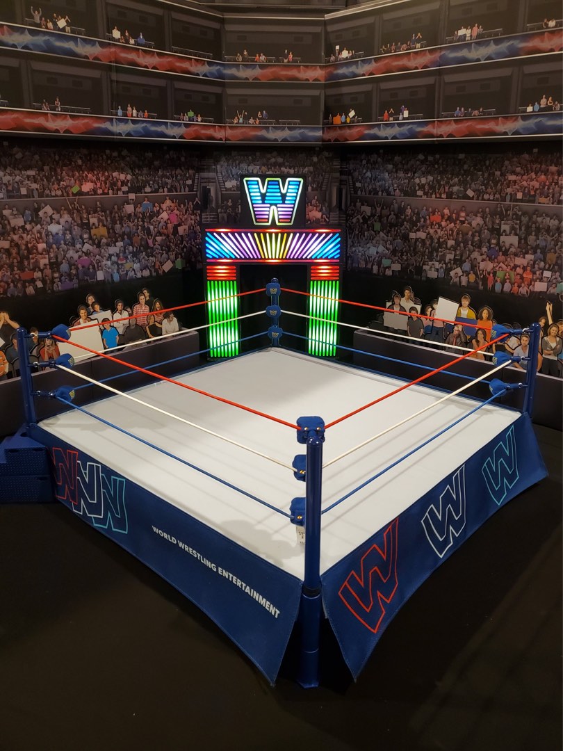 Mattel ring hot sale