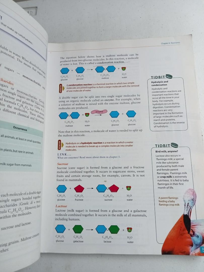 BIOLOGY MATTERS- KWAN : LAM (Category: Textbooks) located in Quezon City. Submitted by parekoymarekoy (Listing ID 1187331220, Image 3). Description: STOCK AT BOOK SHELF ONLY.