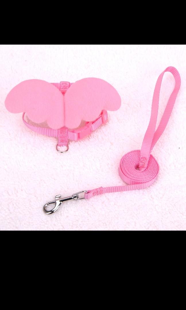 Cat leash with wings, Pet Supplies, Homes & Other Pet Accessories on Carousell